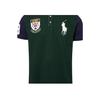 Polo Ralph Lauren Logo Embroidered Straight Fit Short Sleeve Polo Shirt Men tops Green 710784715-001