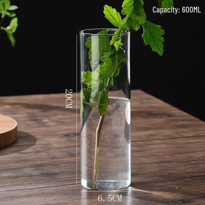 High Borosilicate Glass Hydroponic Vase & Desktop Planter - Straight Tube Design for Artistic Arrangements and Moss Ecosystem