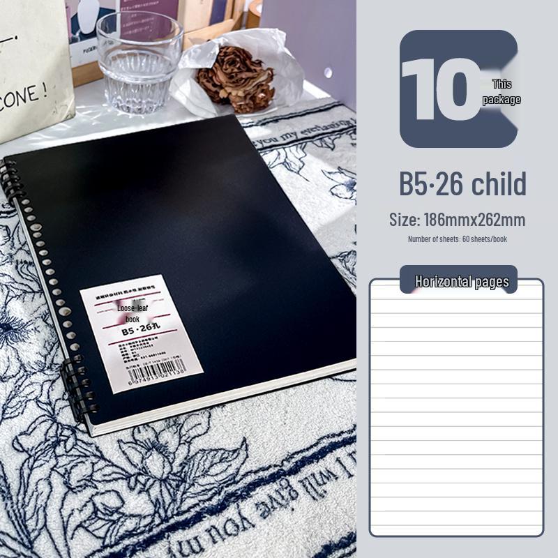 B5 Soft-Touch Loose-Leaf Notebook with Removable Coil and Stylish Binder Cover