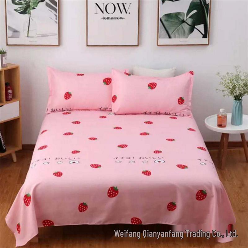 Two-Piece Brushed Bed Sheet & Pillowcase Set for Kids and Students