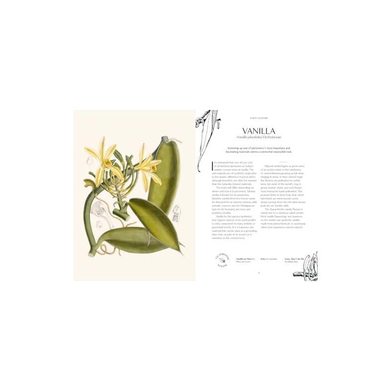 Kew  Fragrance: From plant to perfume, the botanical origins of scent