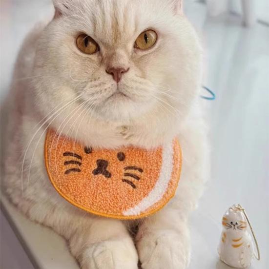 5Pcs Hair Memorial Storage Bottle Cat Cat Locket for Storing Fur