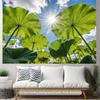 2D Green Lotus Leaves Sky Backdrop, Nature Themed Photography Background Banner