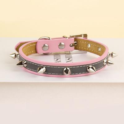 Köpek – Köpek Tasmaları ve Tasma Kayışları
