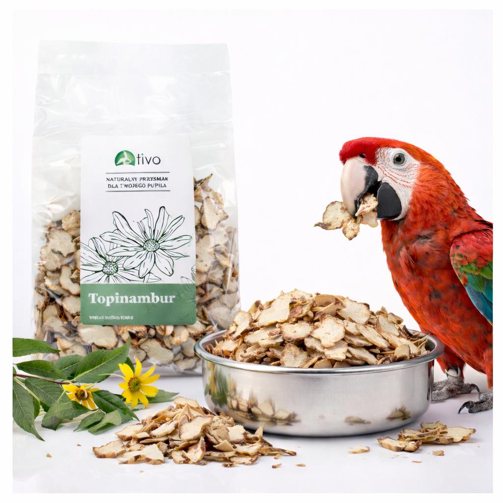 Dried Jerusalem Artichoke - Chips for Parrots | Natural Treat 100 G