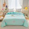 Huaxia Shengjin Summer Eco-Friendly Quilt
