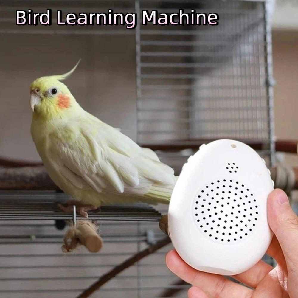 Playback Parrot Teach Talking Recording Bird Repeater Portable Bird Learning Machine  Bird Training