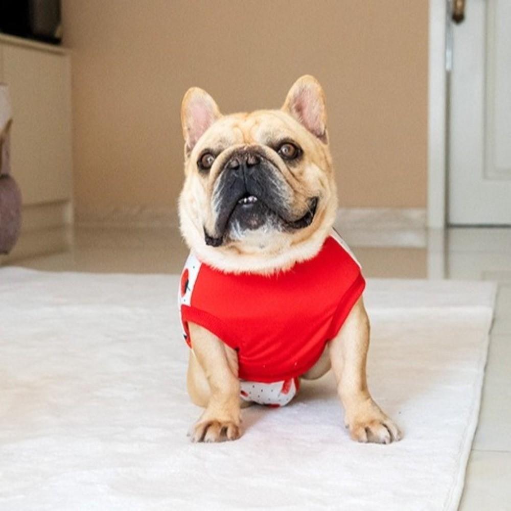Warm Anti Licking Protective Clothing High Elasticity Dog Sterilization Suit  Daily Rehabilitation