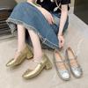 High Heels Silver Inner Height Increase Ballet Thick Heel Single Shoes Women's Summer New Skirt Mary Jane Shoes
