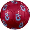 Trabzonspor FC Soccer Ball, Colorful, Suitable for All Ages, Machine-stitched, PVC Material, Competition Grade, Durable and High Bounce