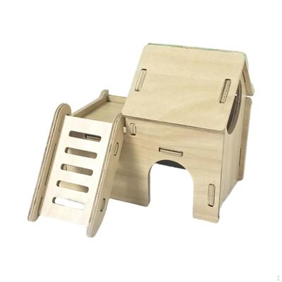 Productos para mascotas – Roedores