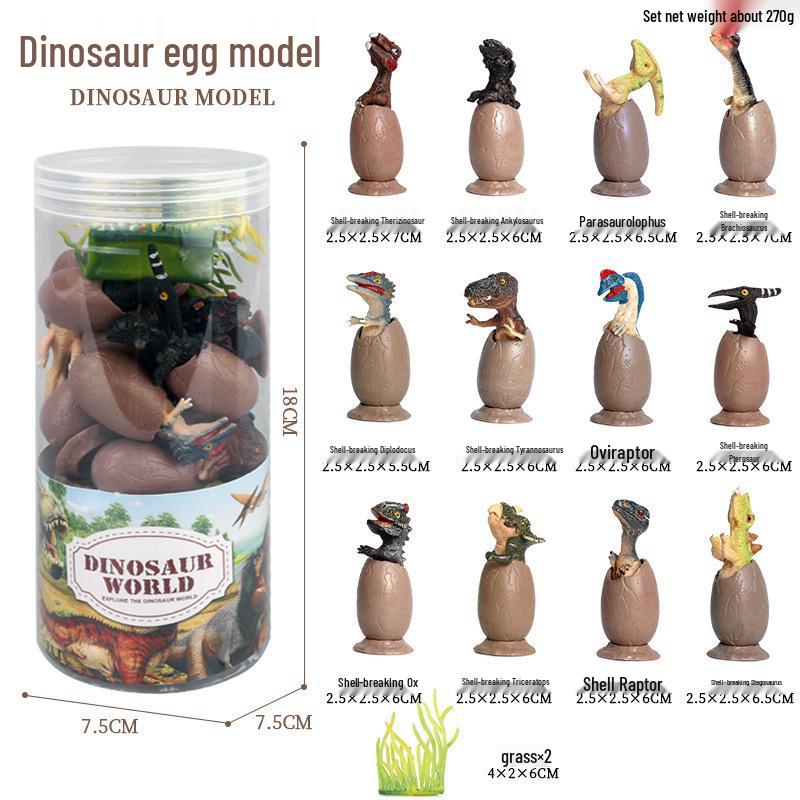 Frog Life Cycle Model Set: Tadpole to Frog Educational Toys for Kids