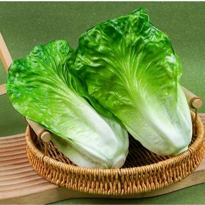 Shallot Simulation Vegetables Ornament PU Artificial Lettuce Model  Photography Props