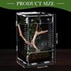 Acrylic Jumping Spider Enclosure Escape Proof Reptile Feeding Tank Ventilated Transparent Reptile Habitat Front Opening