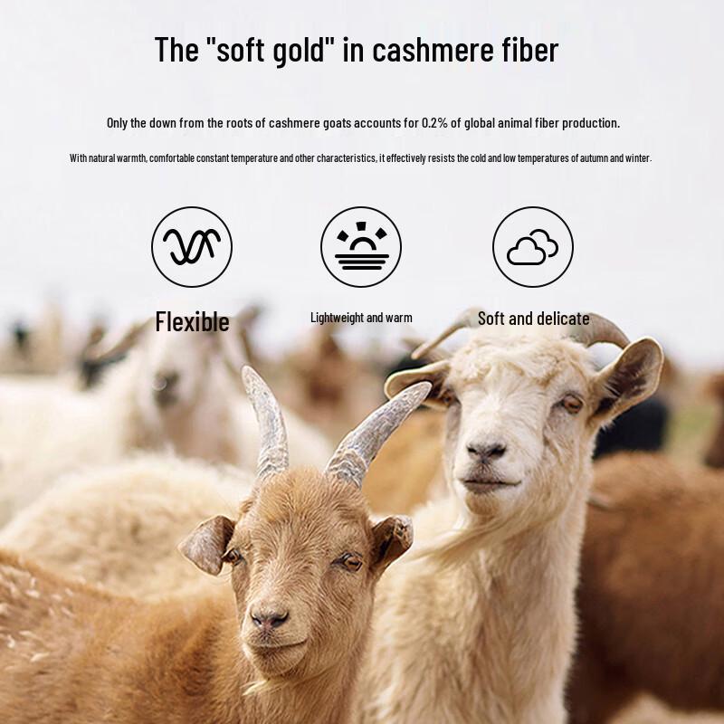 Shanshan Men's Pure Cashmere Half-Turtleneck Sweater