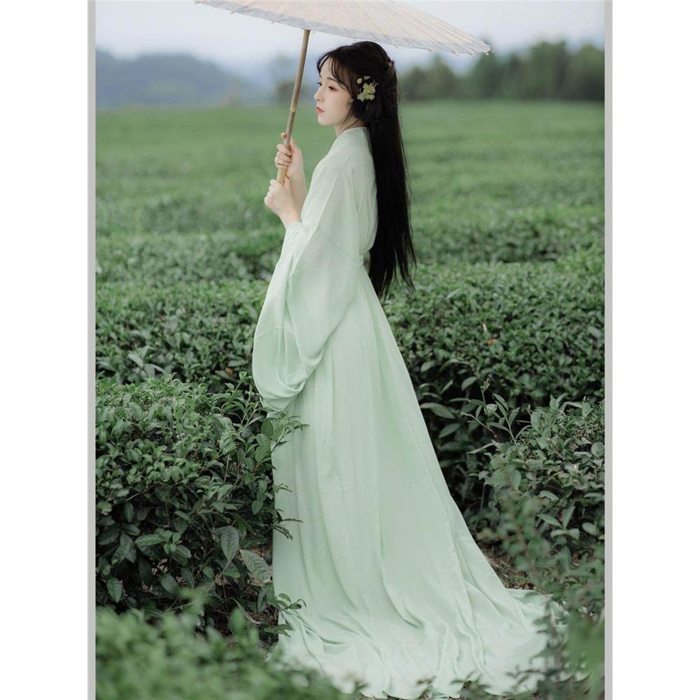 Elegant Chinese Traditional Hanfu Set, Flowing Wide Sleeve Robe with Trailing Straight Hem, Cold Style Fairy Photography Outfit