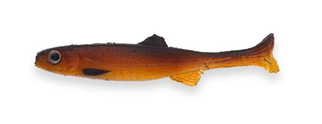 Imakatsu Miękka przynęta Huddle Swimmer 2,4 cala RC ECO S-512 (7149)