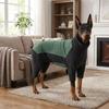 High Stretch Dog Four-Leg Sweatshirt Windproof Dog Winter Home Outfit Dog Warm Pajamas  Winter