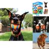 Chuckit Gummiball Medium Einzelpack Robustes Kauspielzeug Interaktives Geräuschspiel Haustier Hundespielzeug