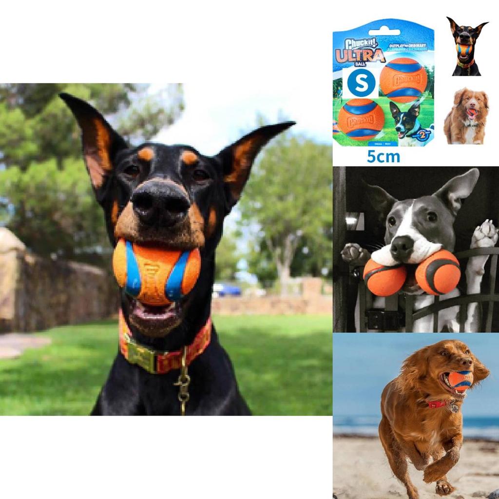 Chuckit Gummiball Medium Einzelpack Robustes Kauspielzeug Interaktives Geräuschspiel Haustier Hundespielzeug