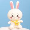 Hachiware Usagi Chiikawa Plush Toy Anime Stuffed Dolls Decoration Kids Gift