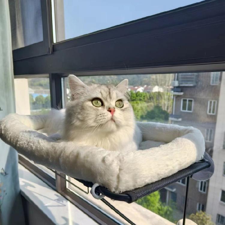 Window Mounted Cat Perch Cute Soft Cat Bed Window Shelf Hammock Window
