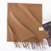 New Solid Color Maillard Imitation Cashmere Scarf for Women Autumn and Winter High End Warm Shawl Simple Scarf
