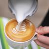 Stainless Steel Frothing Pitcher Milk Jugs  Pull Flower Cups Coffee Milk Frother Latte Art Milk Foam Tool Coffeeware