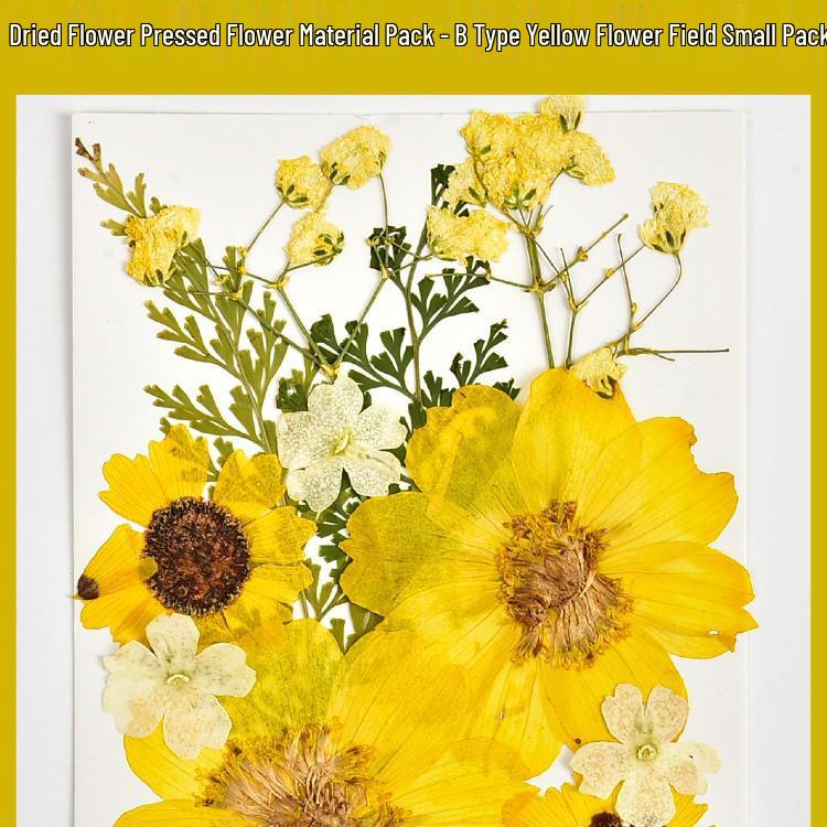 Autumn Dried Flower Bookmark Kit: Transparent Leaf Specimen with Lamination Film Stickers