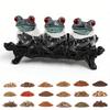 Handcrafted Witchy Frog Apothecary Spice Jars Empty Clear Seasoning Jars Seasoning Containers Storage Container Condiment Jars