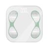 BORO Smart Body Fat Scale (CN version)