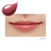ettusais Lip Edition Rich Style 02 Clear Burgundy Lip Serum and Lip Makeup Base 2g (Plumper)