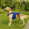 Atmungsaktive Hunderückenbandage Verdickter Hundewirbelsäulen-Stützanzug Haustier-Stützgeschirr Haustierbedarf