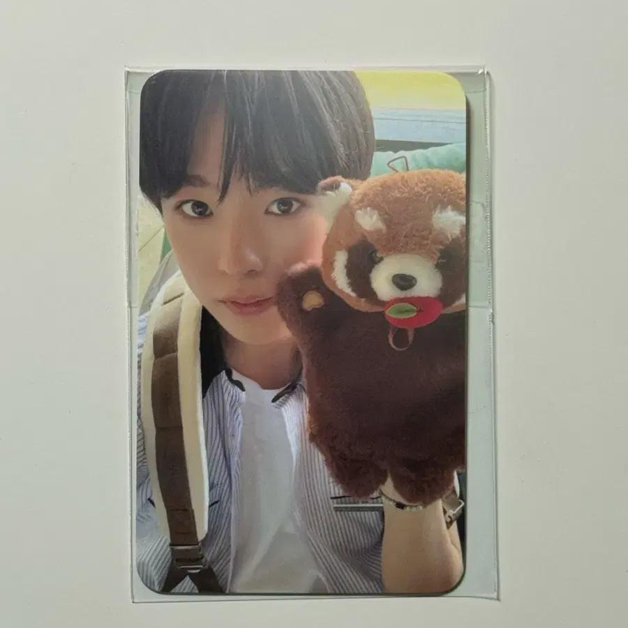 

Ncitywish Everwish 2nd Everland Yuushi Admission Focus