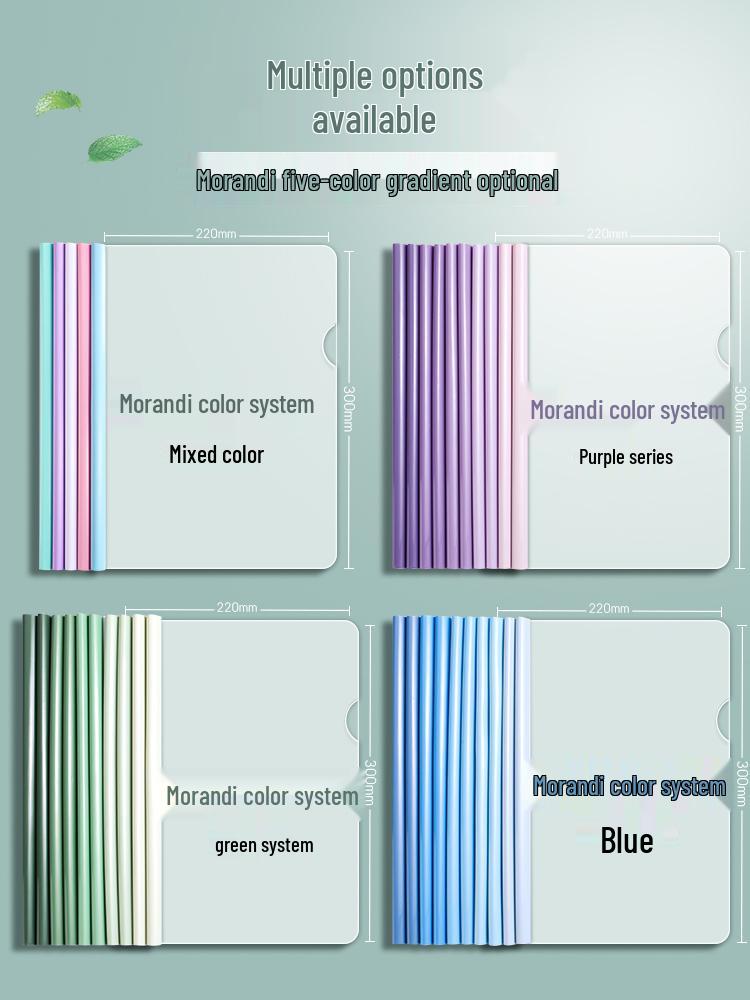 A4 Morandi Gradient Thickened Transparent Document Folder for Students