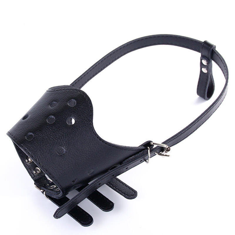 Dog, Large Dog, Small Dog, Anti-Barking Leash, Muzzle