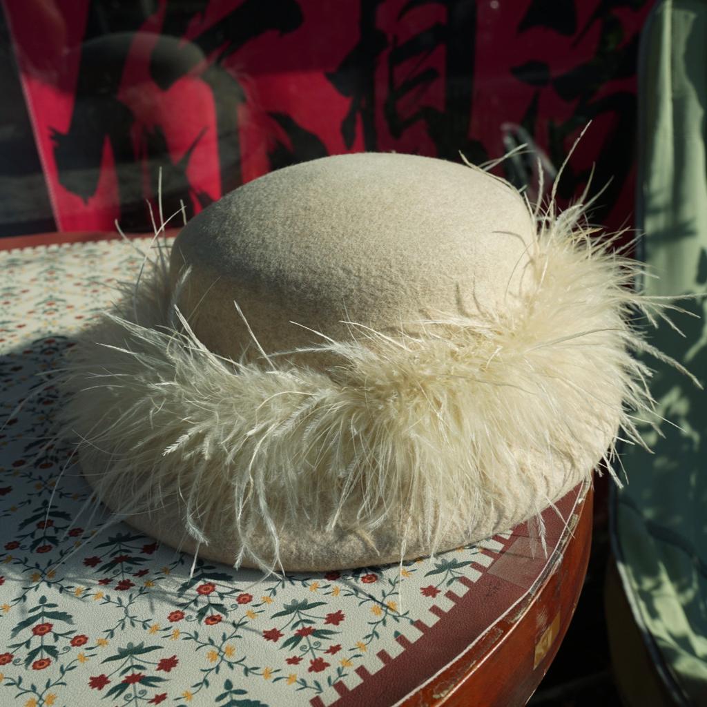 French Retro Hepburn Brown Coffee Woolen Top Hat Felt Hat Japanese Autumn And Winter Women'S Feather Warm Small Basin Hat
