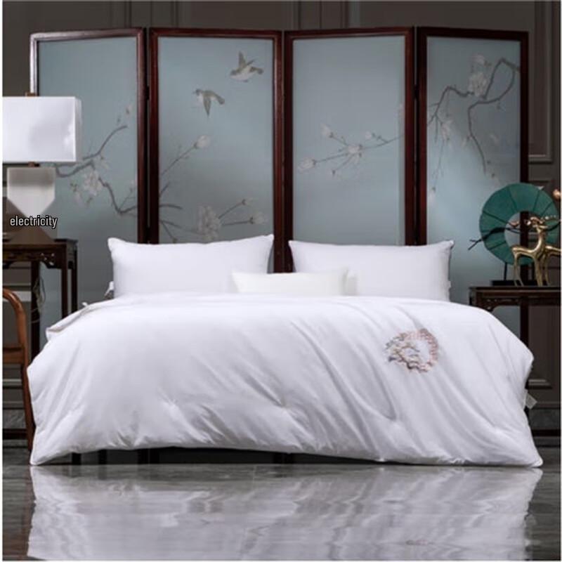 

Dohouise Tussah Silk Summer Quilt