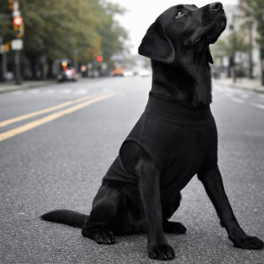 Stretchy Dog Recovery Suit Adjustable Dog Sanitary Jumpsuits  Menstruation Period