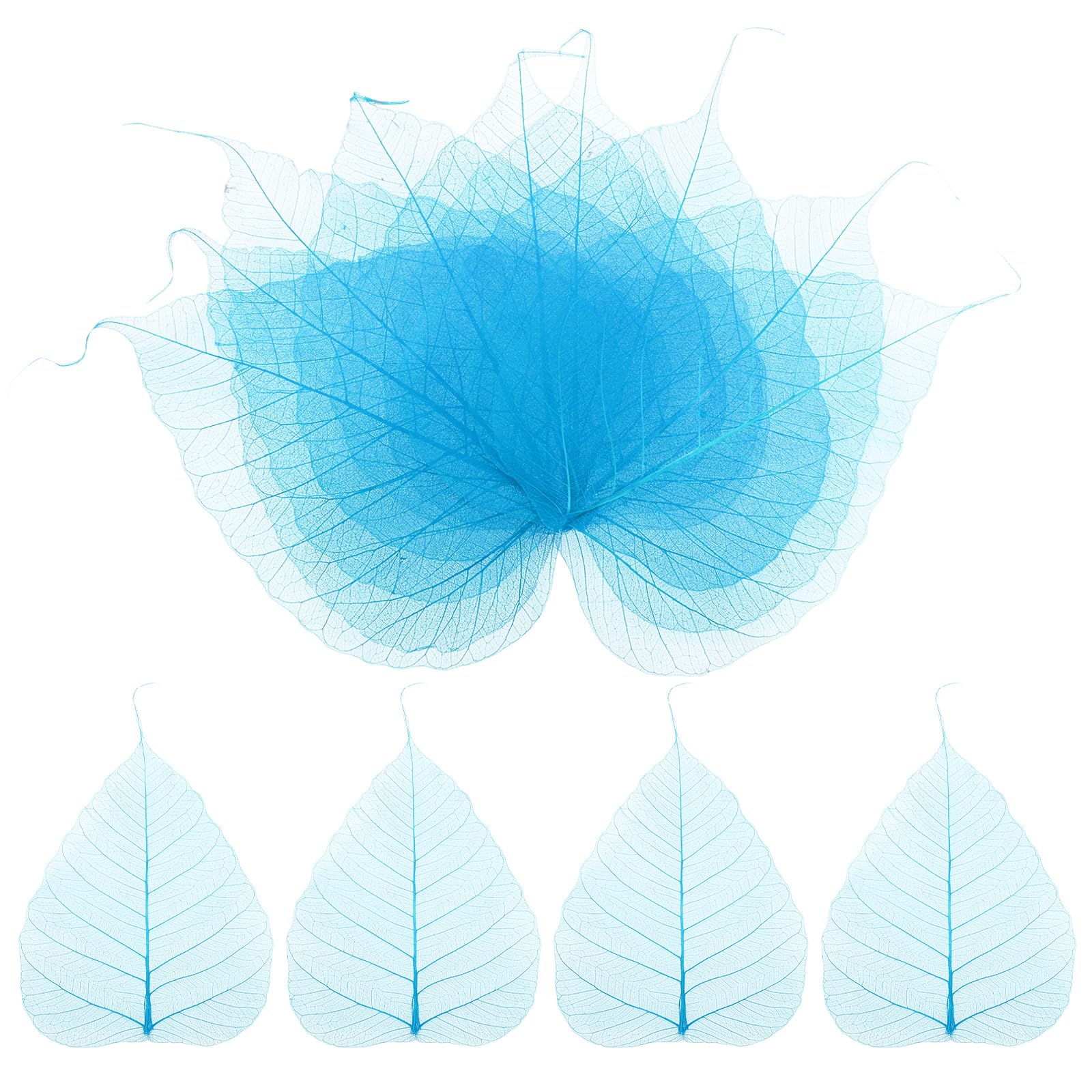 

METERXITY Skeleton Natural Dried Dried Body Skeleton Leaves for DIY and Small Leaf Decorations 100-Pack Leaves, 5.1 Resin, Crafts, Cards, Scrapbooks, синий