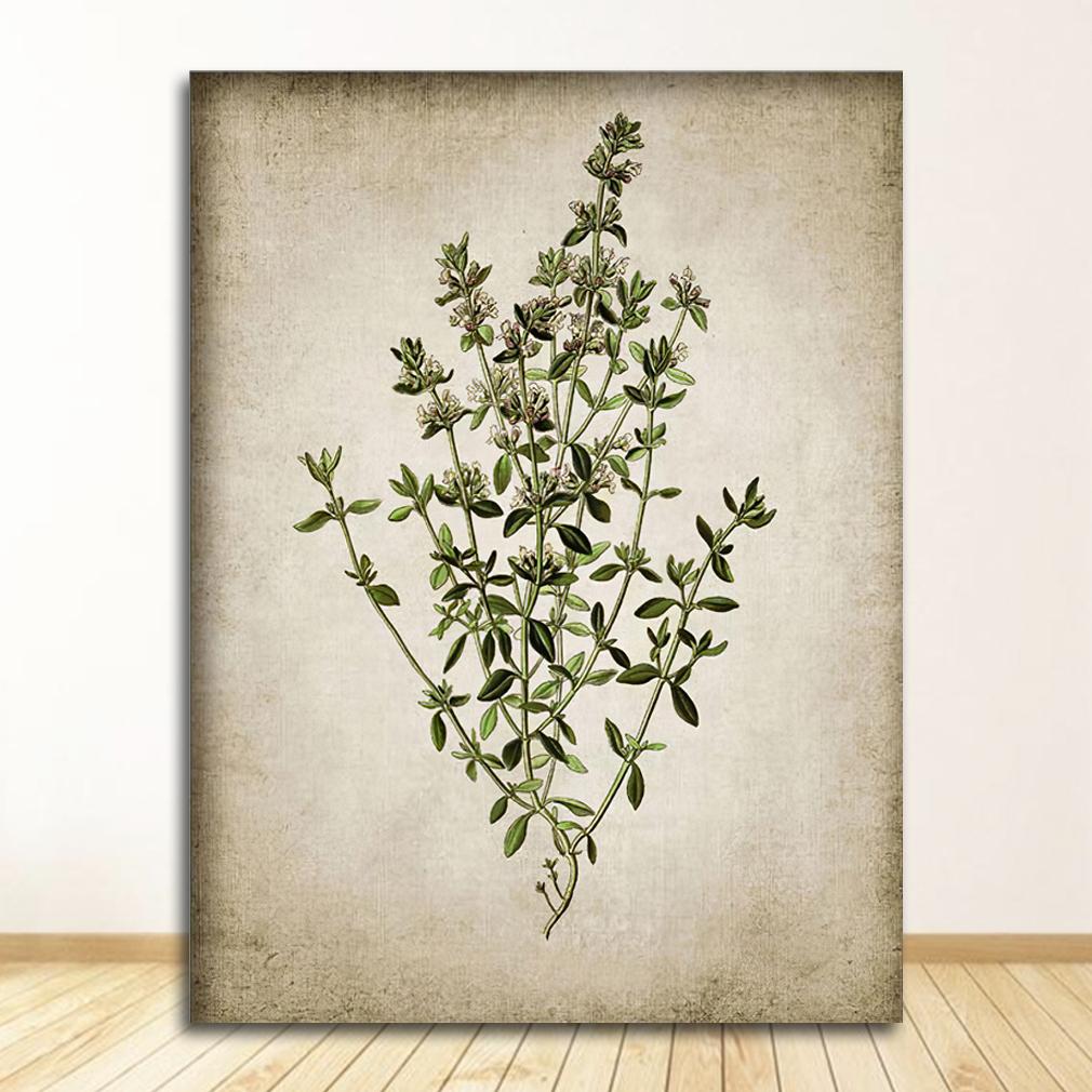 Painting Retro Wall Pictures Home Art Decor Vintage Herb Canvas Poster And Prints , Oregano Rosemary Sage Thyme 21X30CMNo Framed