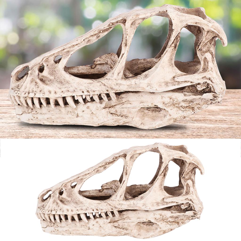 ZK50 Resin Dinosaur Skull Model Simulated Animal Skeleton Home Office Decor Craft Teaching Prop