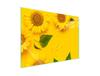 Glass Stovetop Protector 70x52 Flower