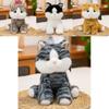 Cute Cat Plush Toy For Kids Sleeping Pillow With Soft Pp Cotton Filling For Comfort