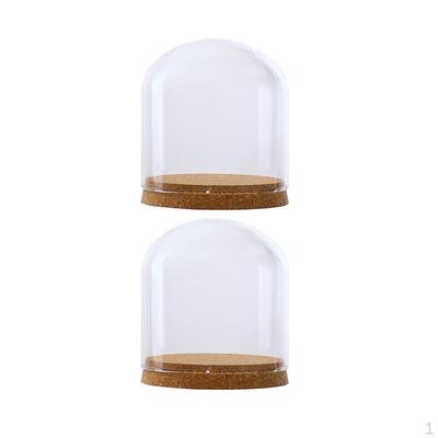 2 Glass Cloche Dome Cover Landscape Terrarium Container with Base S