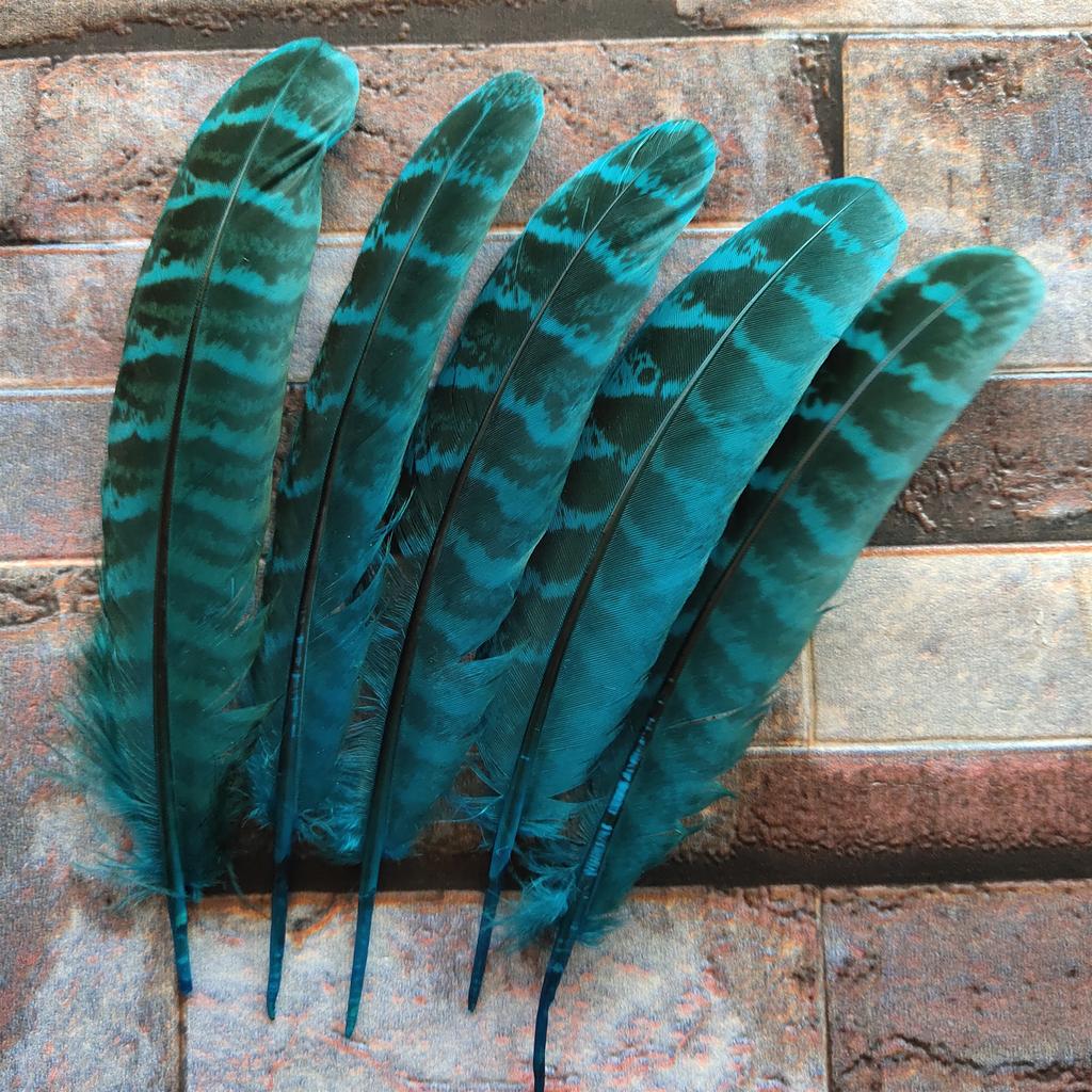 10 Pcs Beautiful High Quality 10-15cm/4-6inches Natural Pheasant Feathers 11 Colors Optional DIY Decorative