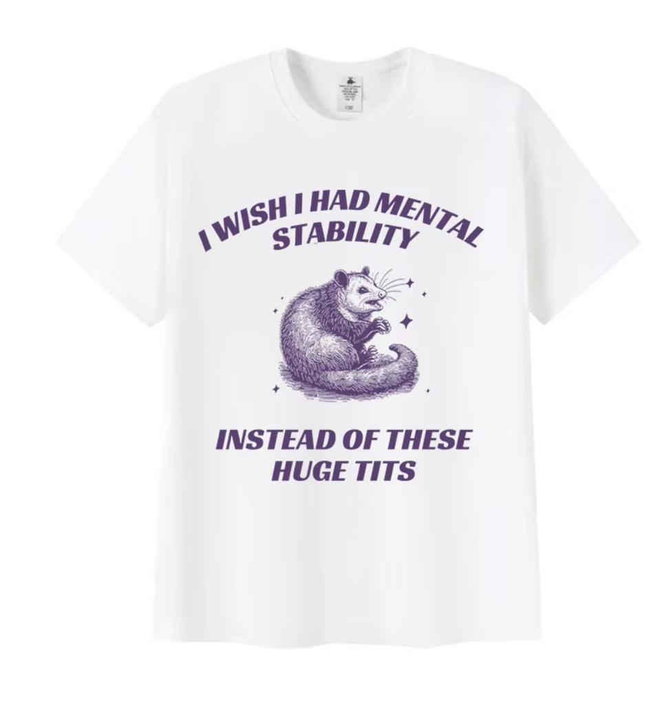 Funny I Wish I Had Mental Stability Racoon Meme T Shirts Men's Women Casual High Quality Oversized Cotton T-shirt Harajuku Tops