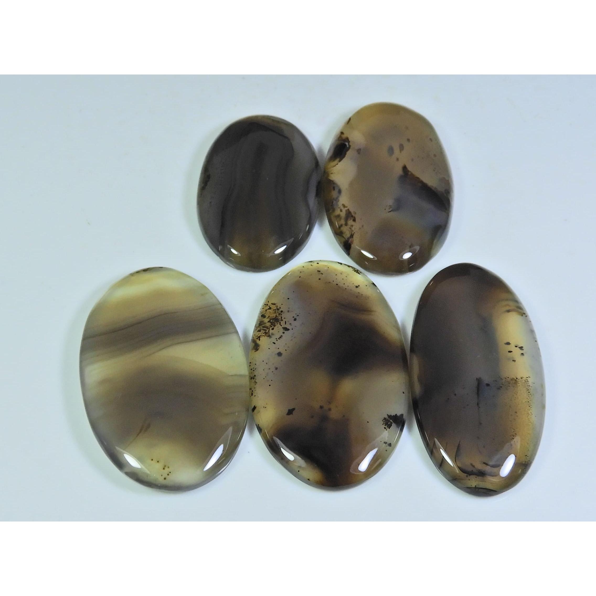 

219Cts. Natural Botswana Agate Oval Cabochon Loose Gemstone 5 Pcs Lot A-664