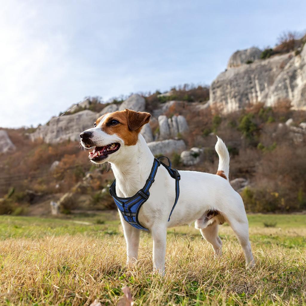 Adjustable Dog Harness Vest Pet Reflective Breathable Vest Chest Strap for Small Medium and Large Dogs for Outdoor Walking