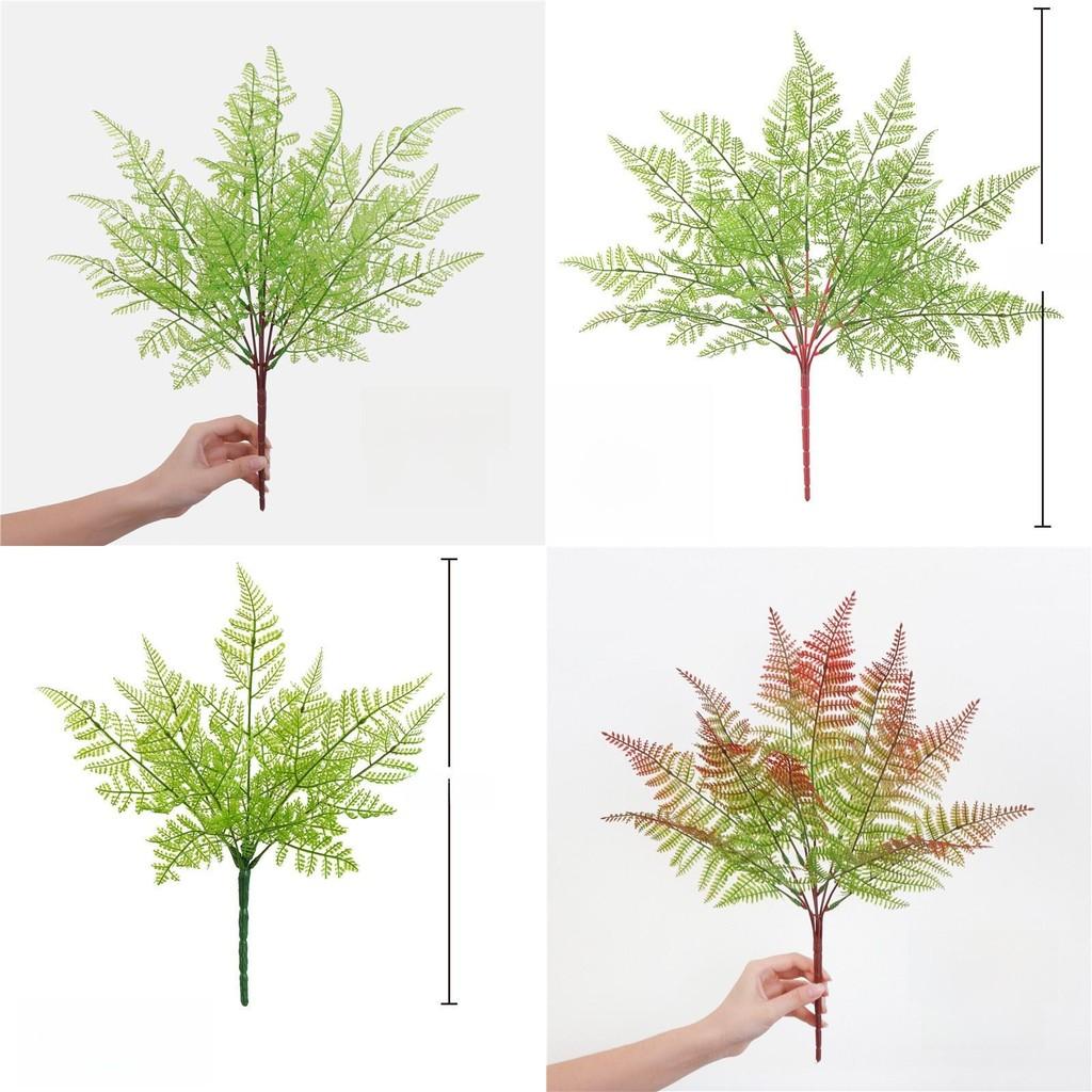 Faux Plastic Pteridium Aquilinum Var Latiusculum Plant Accessories For Gardening Photography And Interior Decoration